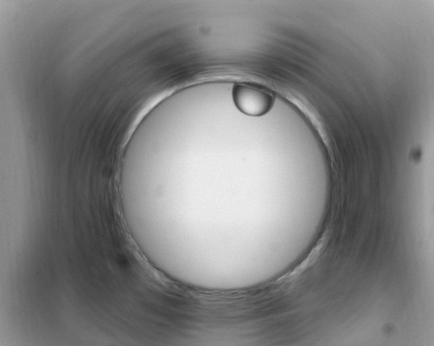X0000102361481200808010947