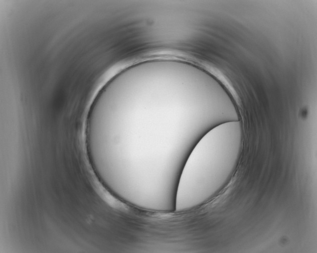 X0000102361482200808010947