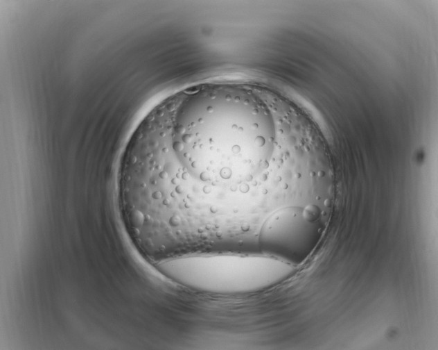 X0000102361483200808010947