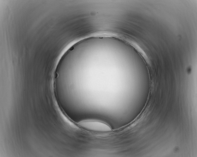 X0000102361484200808010947