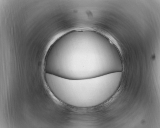 X0000102361485200808010947