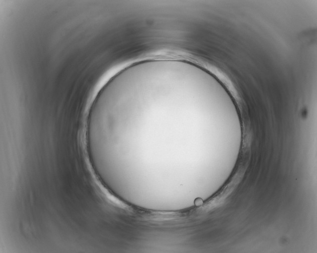 X0000102361486200808010947