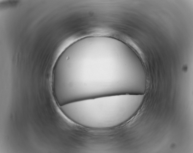 X0000102361487200808010947