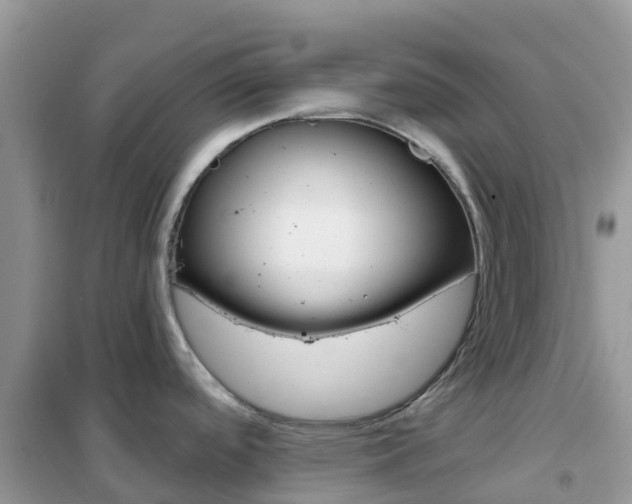 X0000102361488200808010947