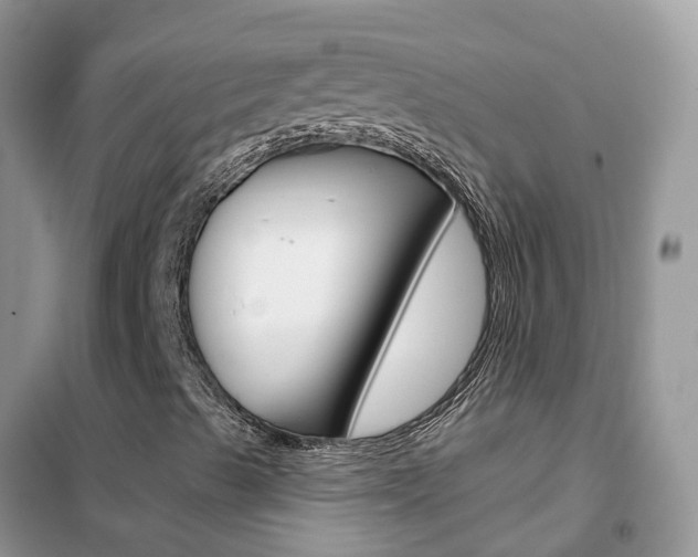 X0000102361489200808010946