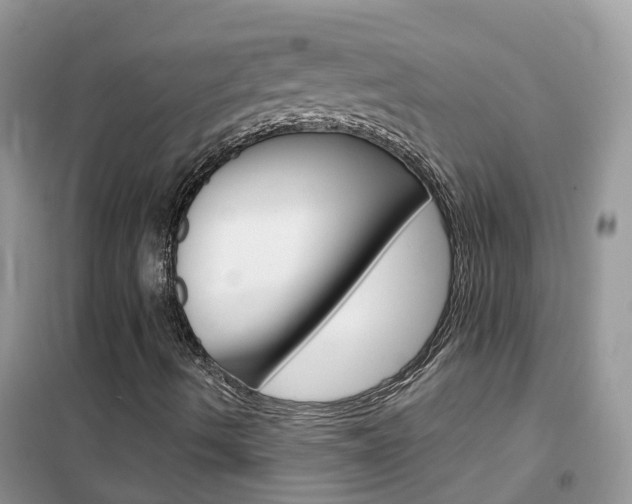 X0000102361490200808010947