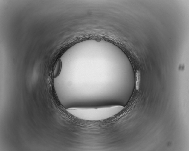 X0000102361491200808010947