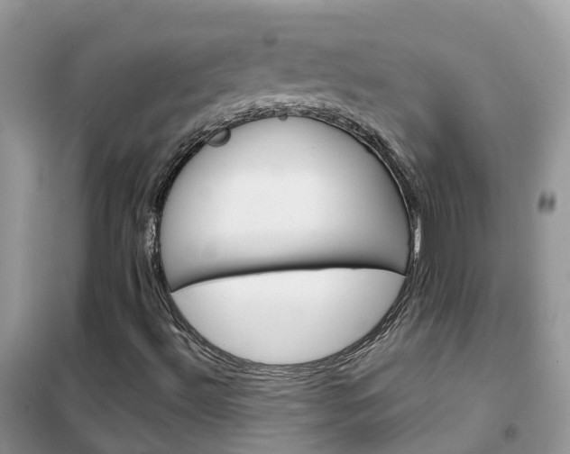 X0000102361492200808010947