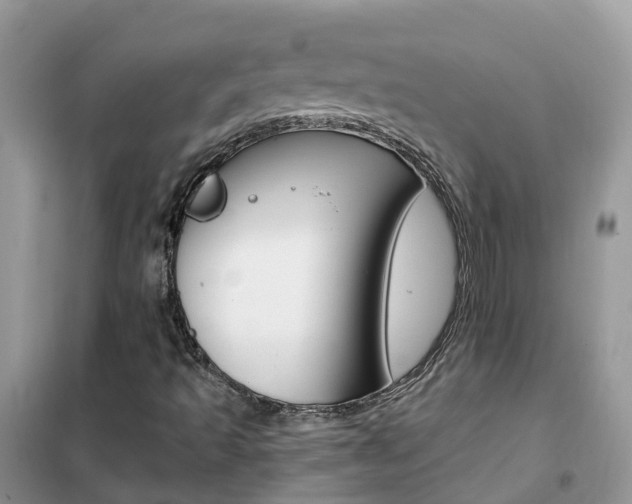 X0000102361493200808010947