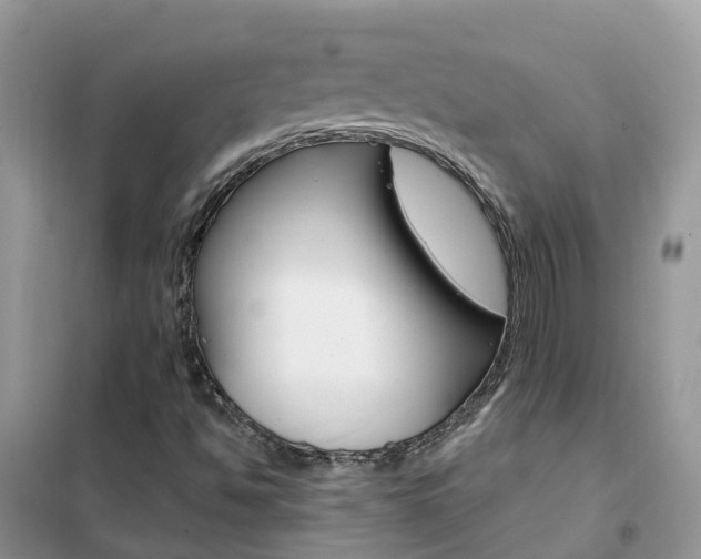 X0000102361494200808010947