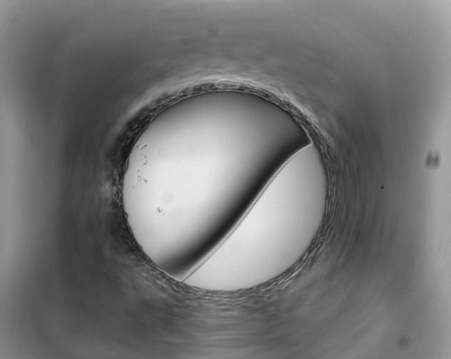 X0000102361495200808010947