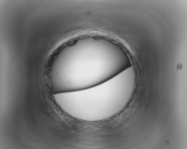 X0000102361496200808010947