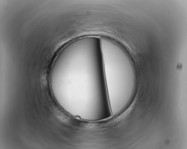 X0000102361497200808010947