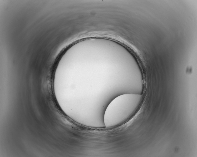 X0000102361498200808010947