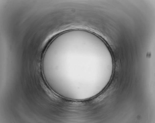 X0000102361499200808010947