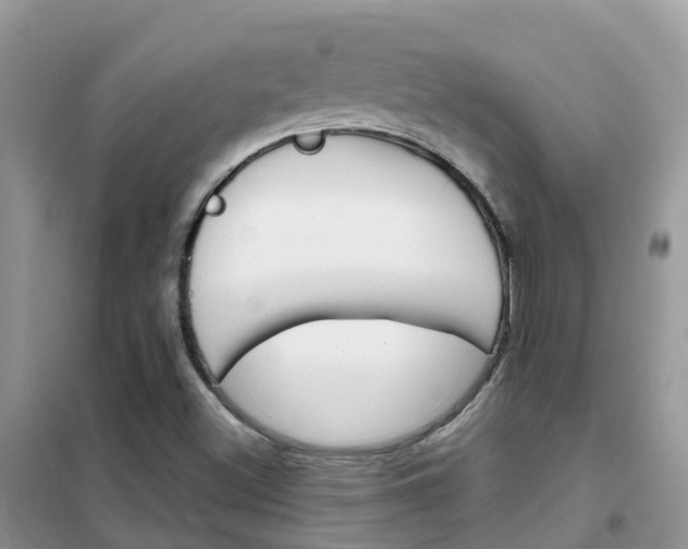 X0000102361500200808010947