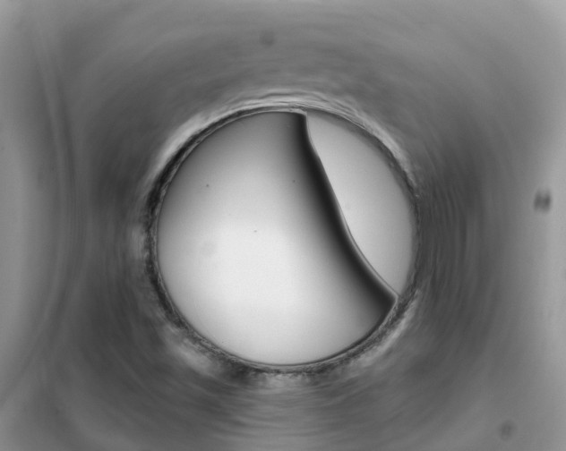 X0000102361501200808010947