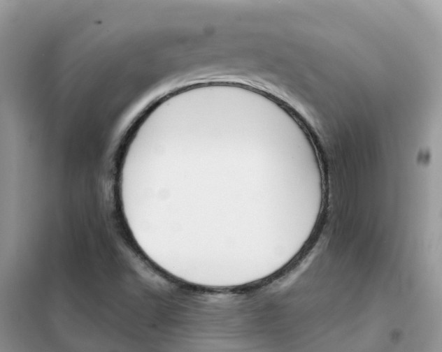 X0000102361502200808010947