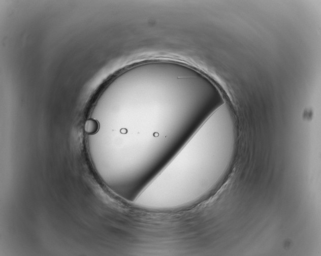 X0000102361503200808010947
