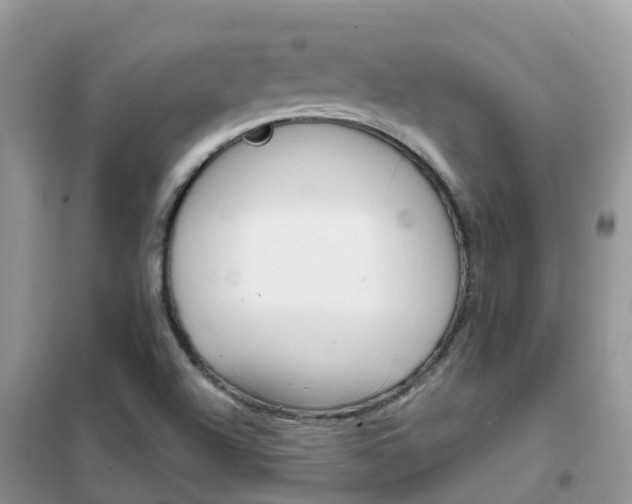 X0000102361504200808010947