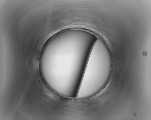 X0000102361505200808010947