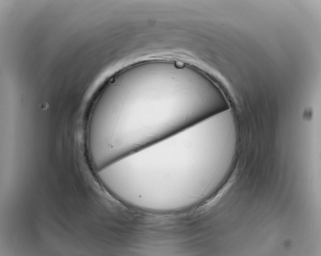 X0000102361506200808010947