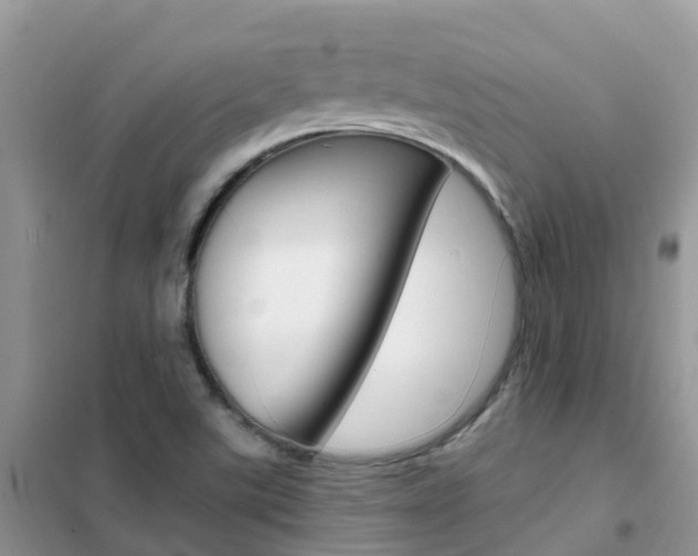 X0000102361507200808010947