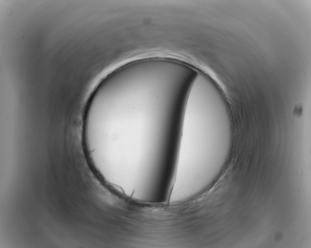 X0000102361508200808010947