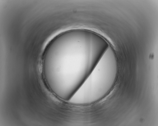 X0000102361510200808010947