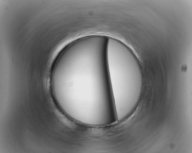 X0000102361511200808010947