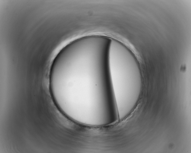 X0000102361512200808010947