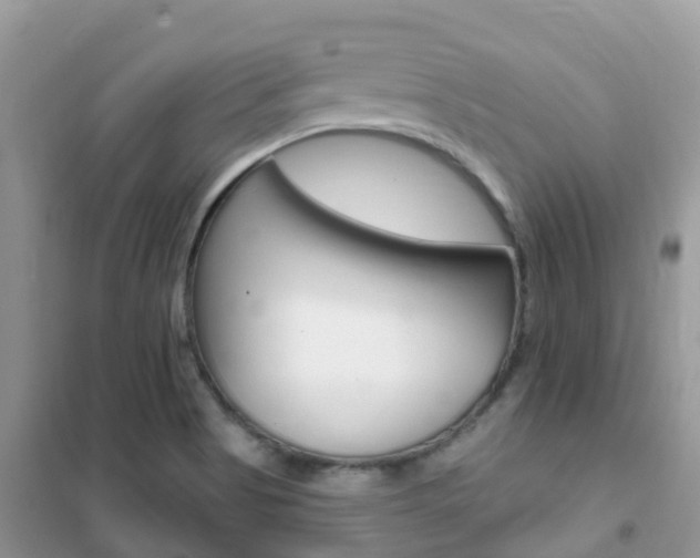 X0000102361513200808010947