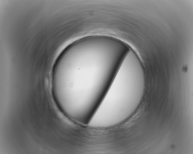 X0000102361515200808010947