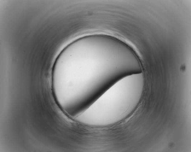 X0000102361516200808010947