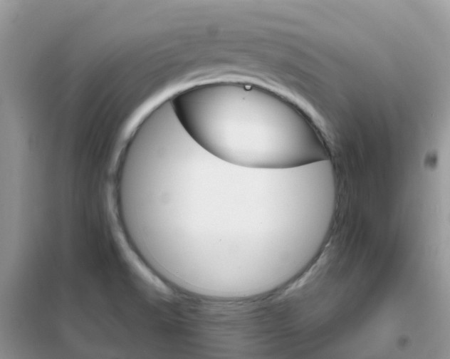 X0000102361518200808010947