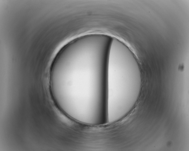 X0000102361519200808010947