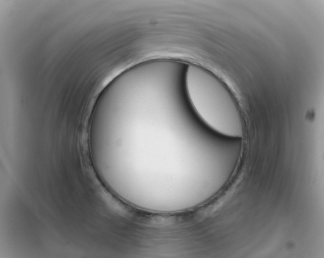 X0000102361521200808010947