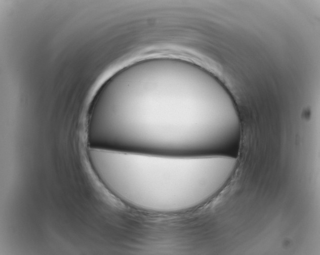X0000102361522200808010947