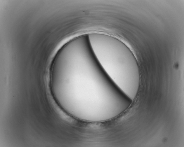 X0000102361523200808010947
