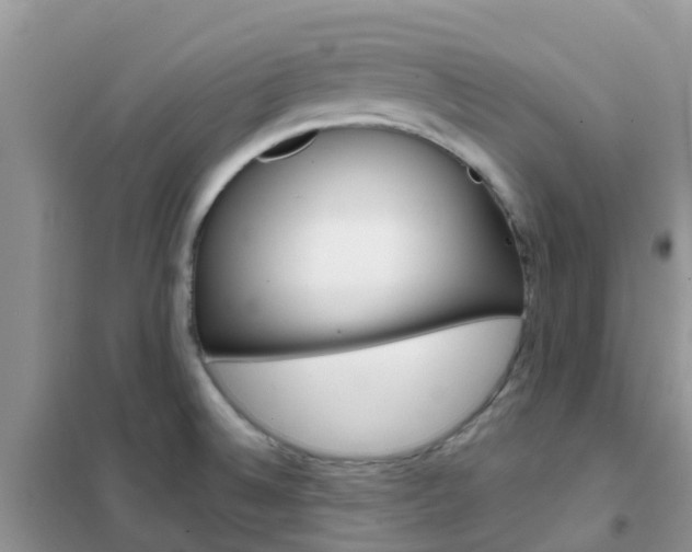 X0000102361524200808010947