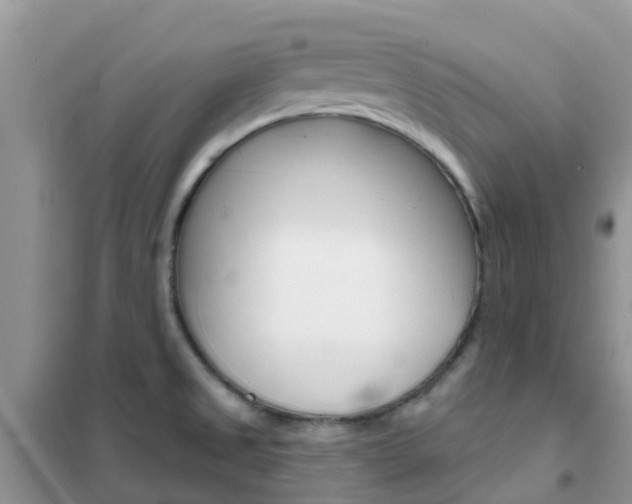 X0000102361525200808010947