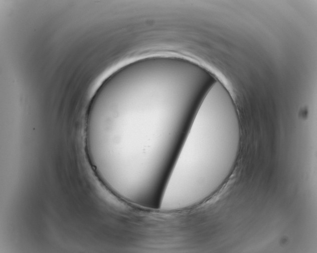 X0000102361526200808010947