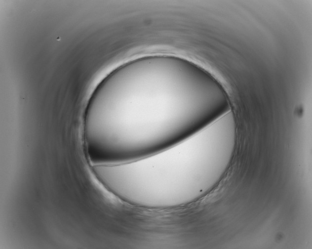 X0000102361527200808010947