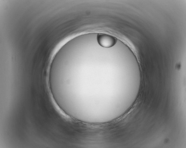 X0000102361528200808010947