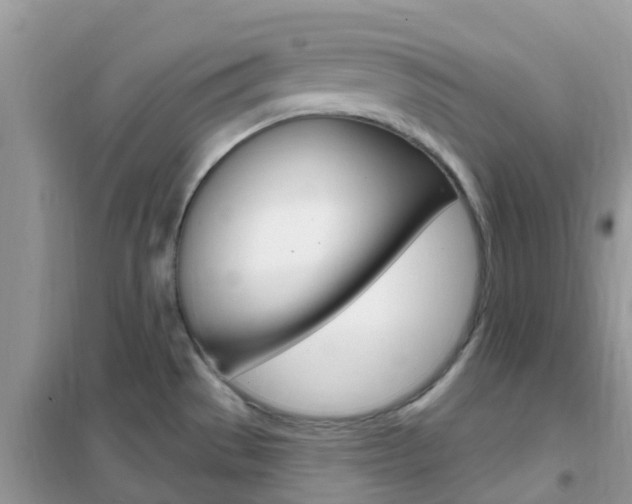 X0000102361529200808010947
