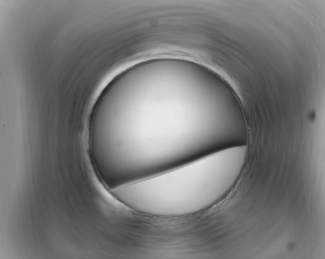 X0000102361531200808010947