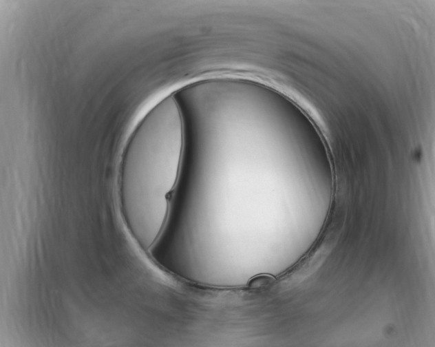 X0000102361533200808010947