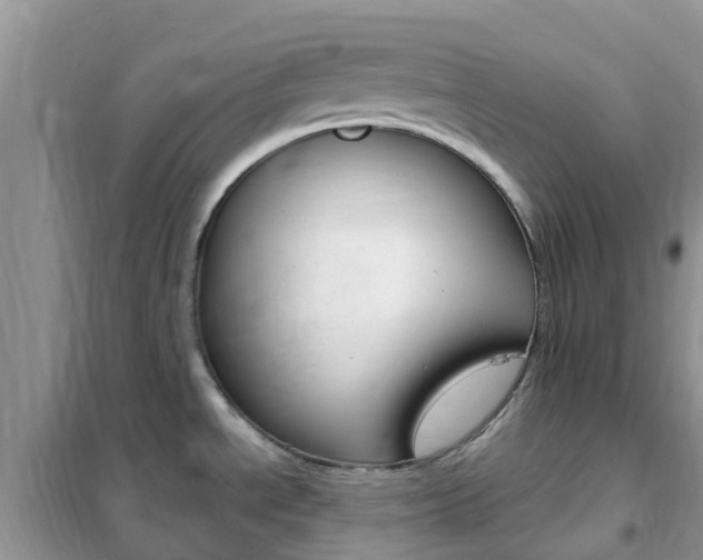 X0000102361534200808010947