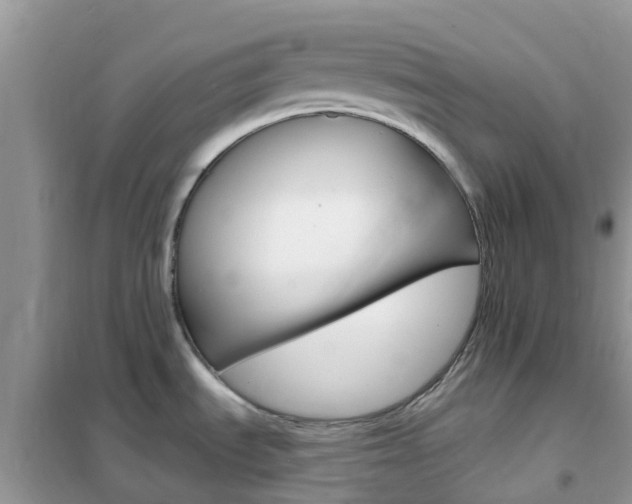 X0000102361535200808010947
