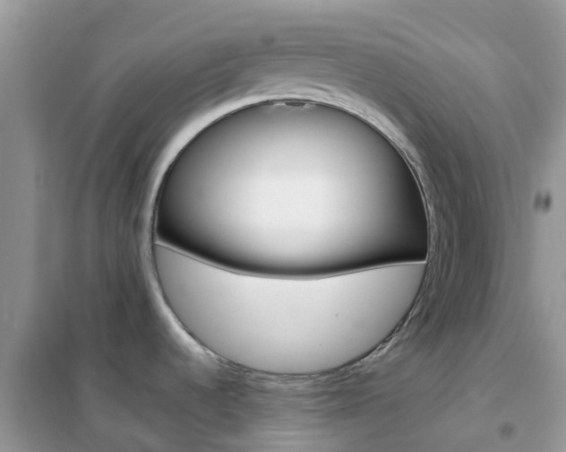X0000102361536200808010947